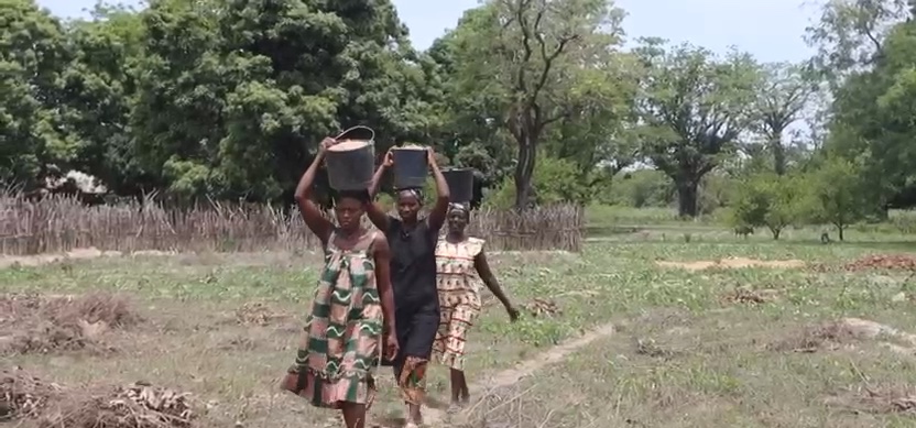 Women carrying water home